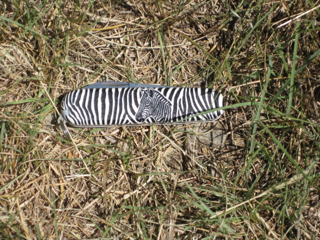Bantam with zebra