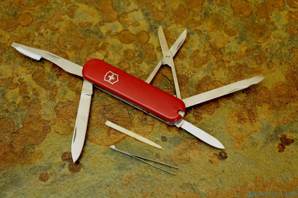 Victorinox executive hotsell