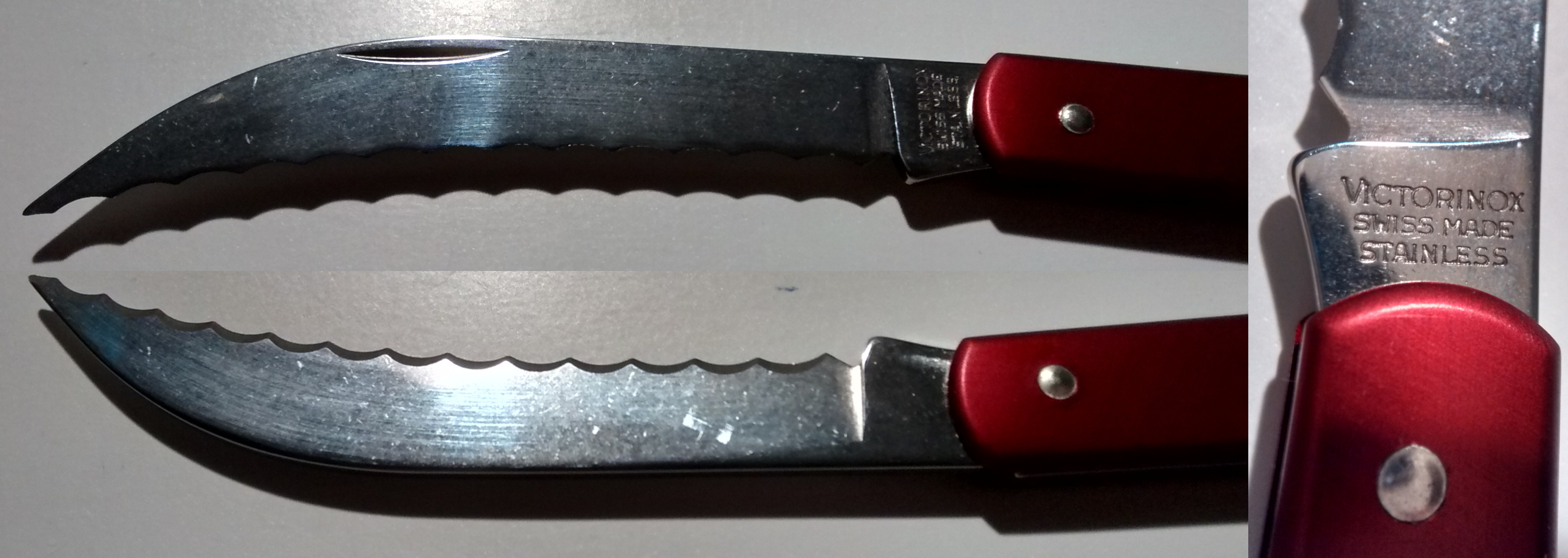 Close Up picture of the Baker's knife serrated blade
