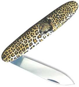 Sentry with Leopard
